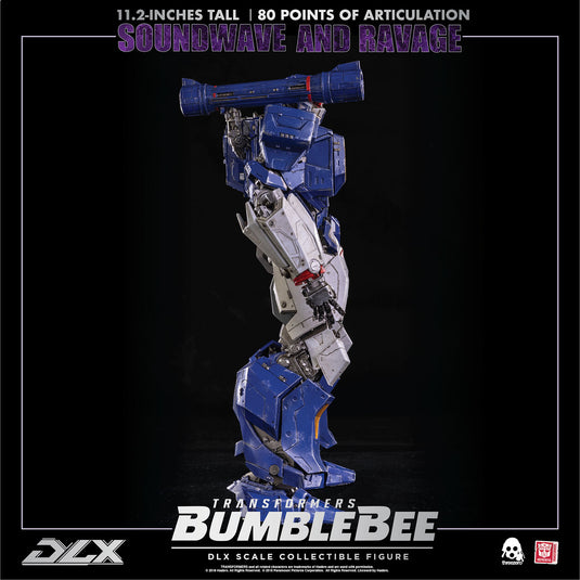 Transformers - DLX Soundwave & Ravage - MINT IN BOX
