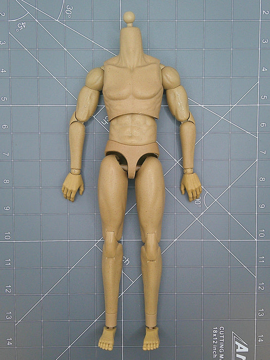 Male Base Adjustable Regular Body