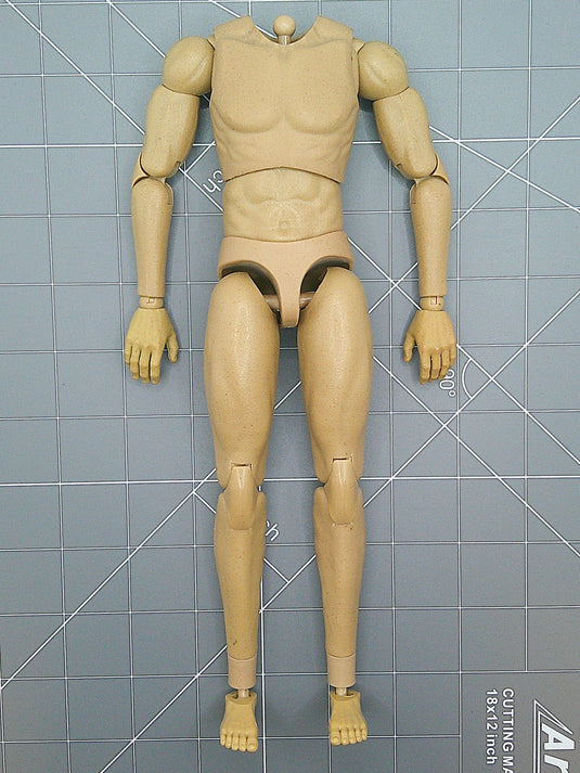 Male Base Adjustable Regular Body w/o Neck 2.0