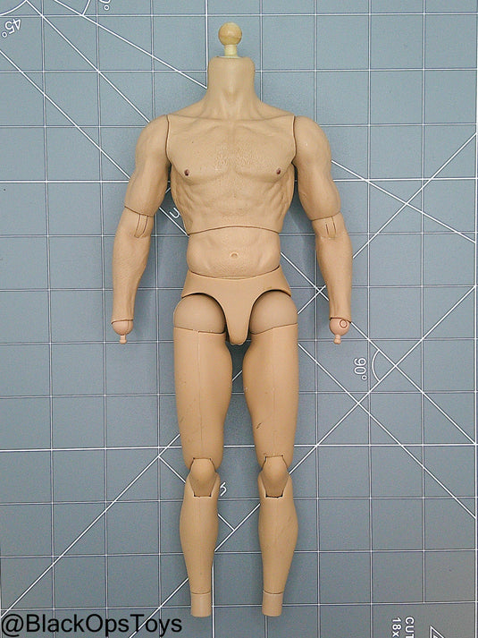 Bam 1/6 True Type Male Base Muscle Body (Hot Toys)
