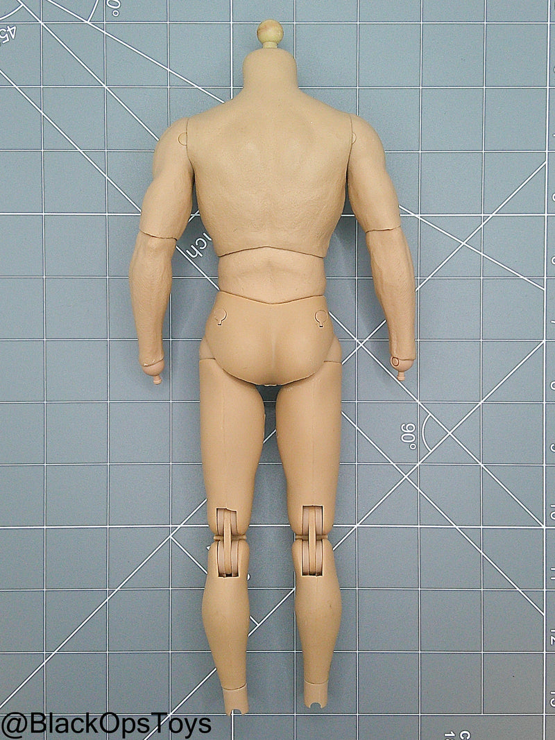 Load image into Gallery viewer, True Type Male Base Muscle Body (Hot Toys)
