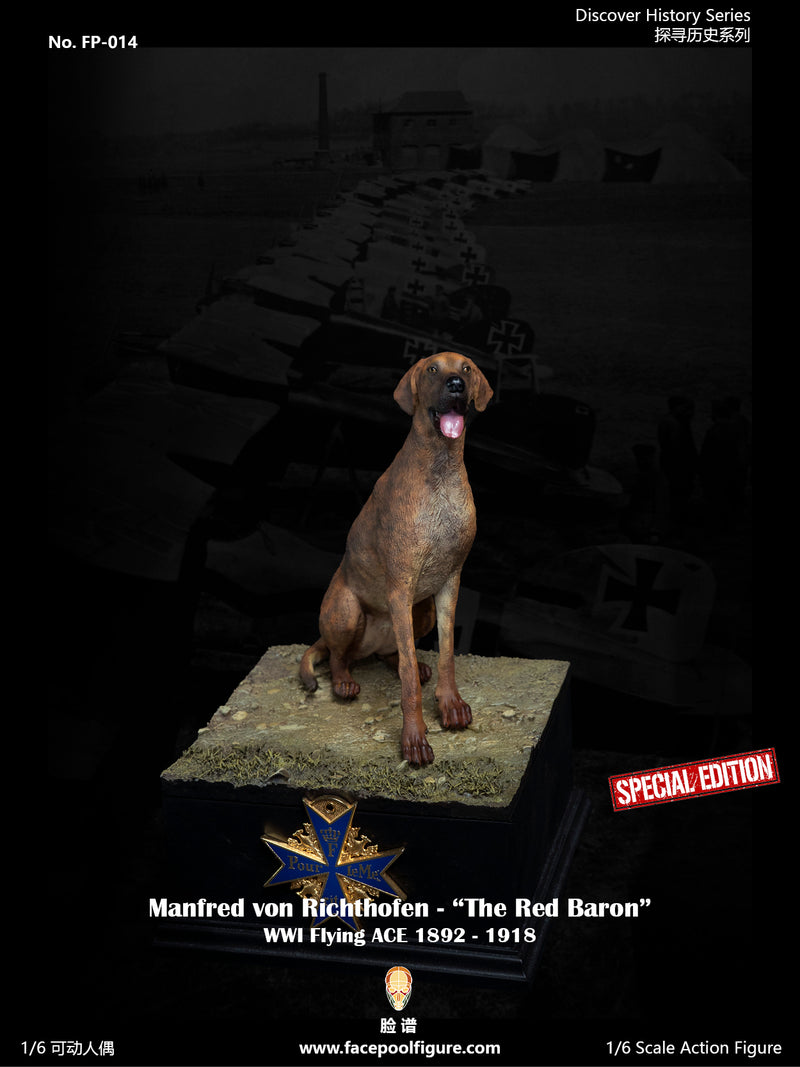 Load image into Gallery viewer, WWI - The Red Baron Special Edition - MINT IN BOX (READ DESC)
