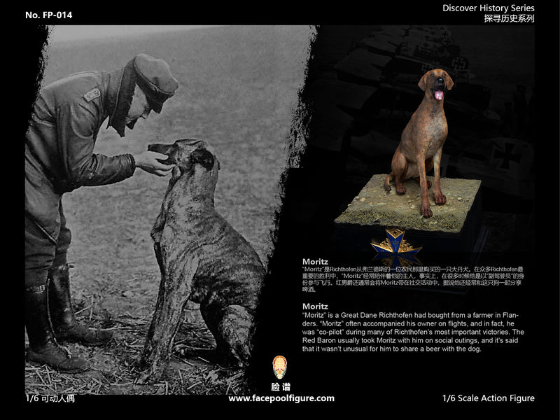 Load image into Gallery viewer, WWI - The Red Baron Special Edition - MINT IN BOX (READ DESC)
