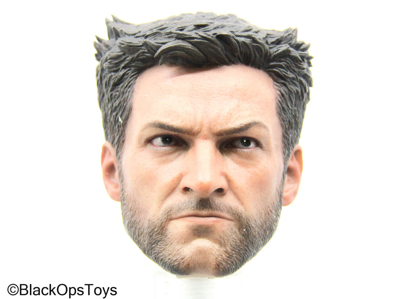 Load image into Gallery viewer, Wolverine - Logan Headsculpt
