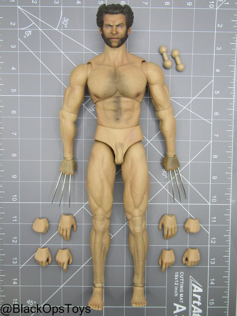 Load image into Gallery viewer, Custom Male Wolverine Body w/Headsculpt &amp; Clawed Hand Set
