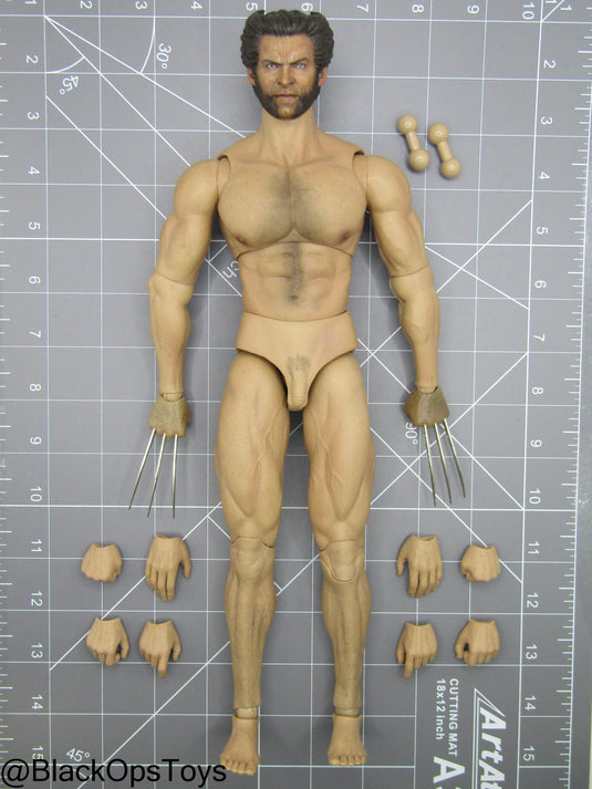 Custom Male Wolverine Body w/Headsculpt & Clawed Hand Set
