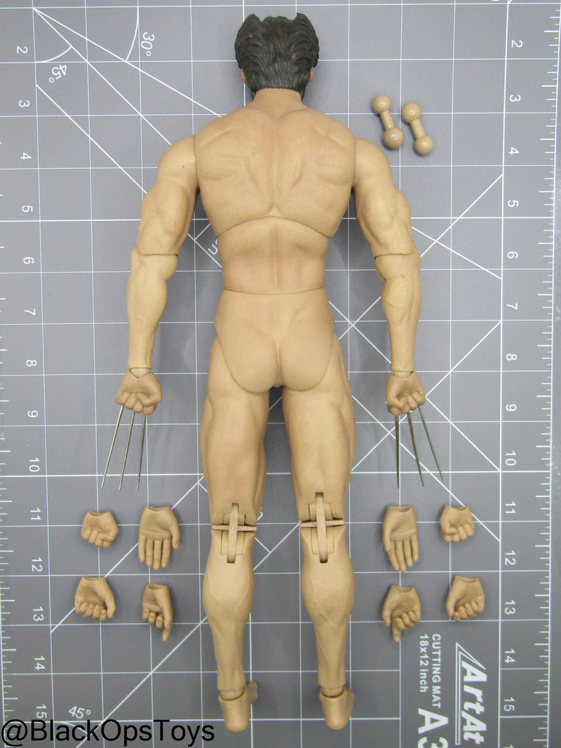 Load image into Gallery viewer, Custom Male Wolverine Body w/Headsculpt &amp; Clawed Hand Set
