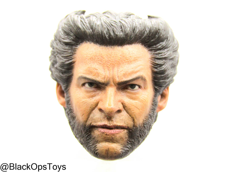 Load image into Gallery viewer, Custom Male Wolverine Body w/Headsculpt &amp; Clawed Hand Set
