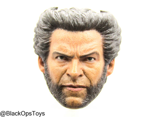 Custom Male Wolverine Body w/Headsculpt & Clawed Hand Set