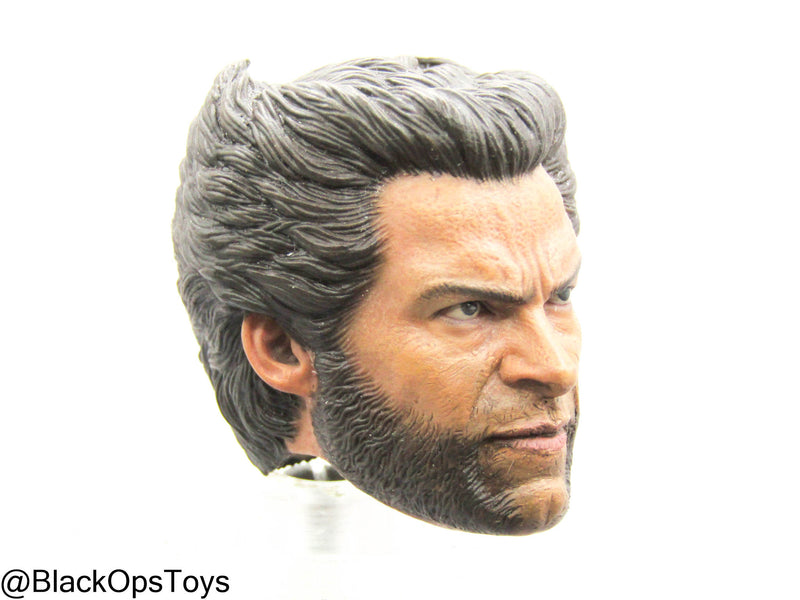 Load image into Gallery viewer, Custom Male Wolverine Body w/Headsculpt &amp; Clawed Hand Set
