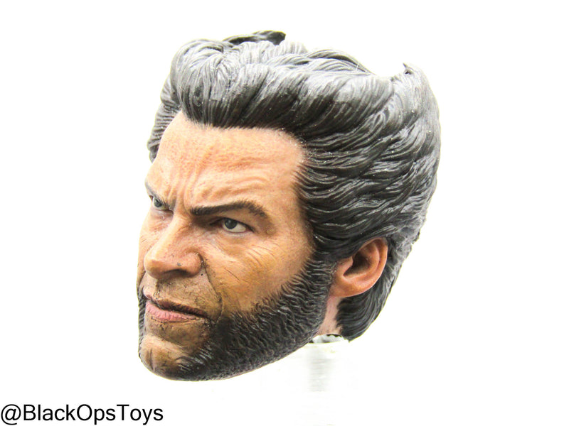 Load image into Gallery viewer, Custom Male Wolverine Body w/Headsculpt &amp; Clawed Hand Set
