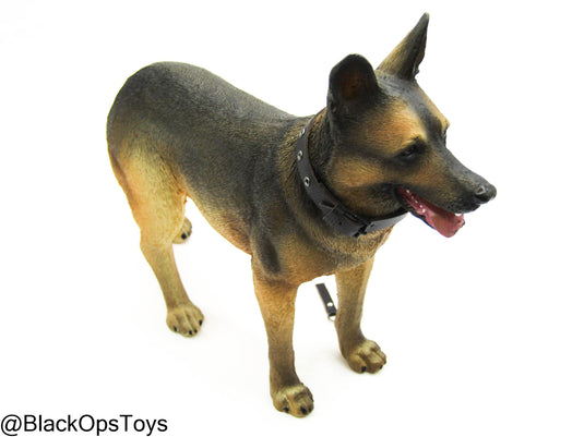 German Shephard Dog w/Collar & Leash