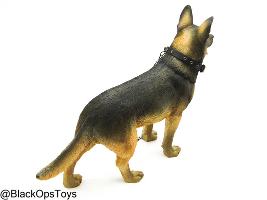 German Shephard Dog w/Collar & Leash