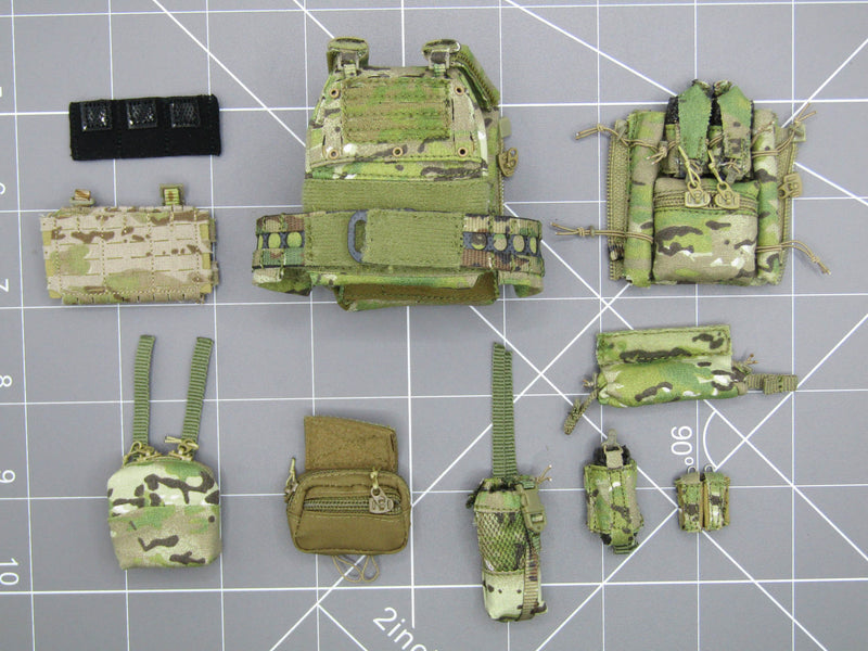 Load image into Gallery viewer, Paramilitary Forces Op. A - Multicam Plate Carrier w/Pouch Set
