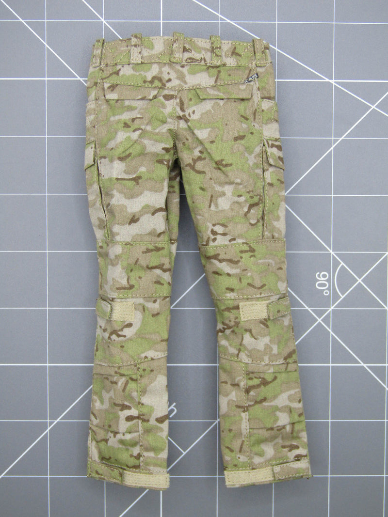 Load image into Gallery viewer, Paramilitary Forces Op. A - Multicam Arid Combat Pants
