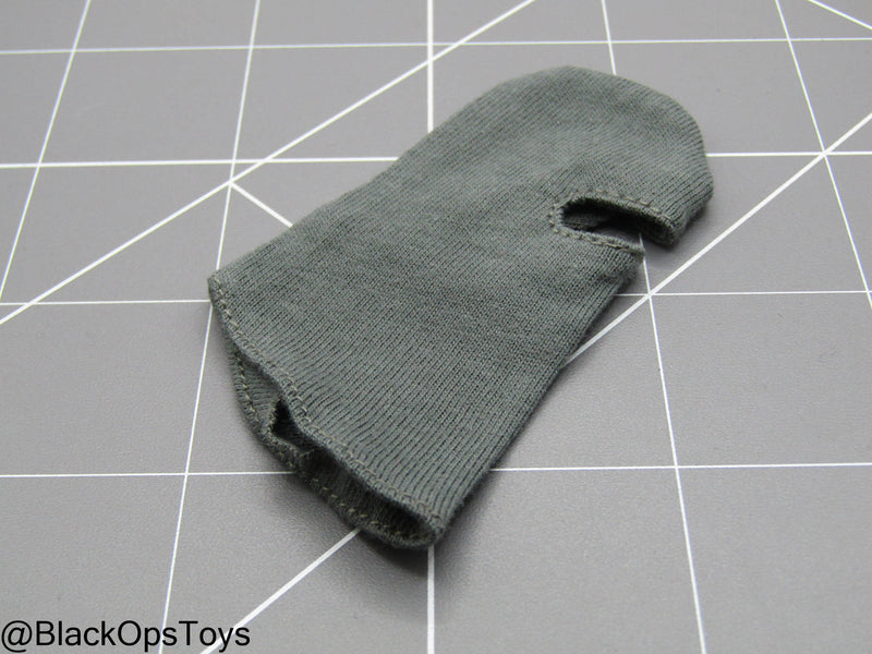 Load image into Gallery viewer, Paramilitary Forces Op. B - Wolf Grey Balaclava

