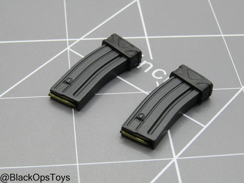 Load image into Gallery viewer, Paramilitary Forces Op. B - 5.56 Magazine Set w/Magpul
