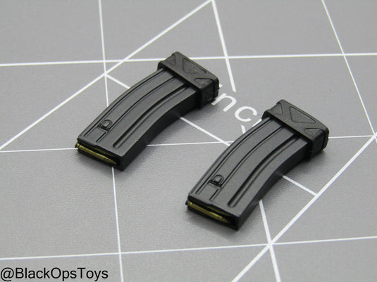 Paramilitary Forces Op. B - 5.56 Magazine Set w/Magpul
