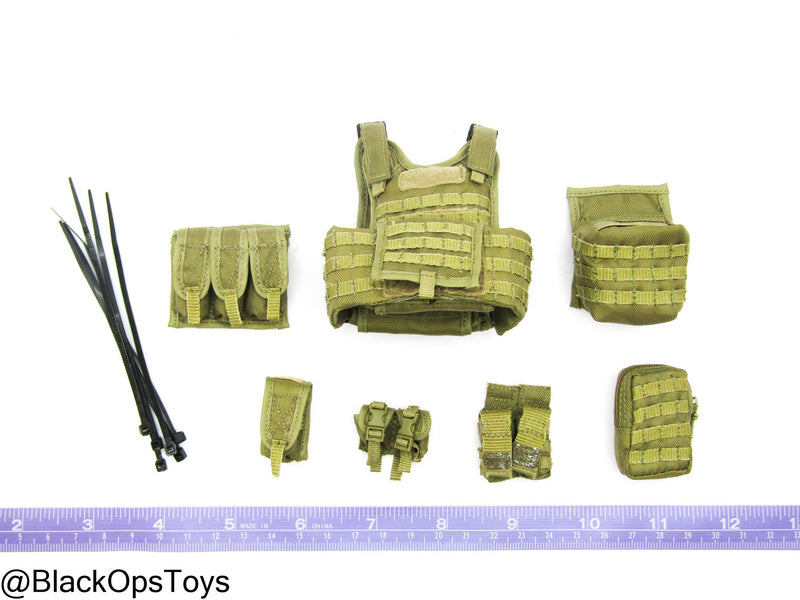 Load image into Gallery viewer, ODA SF Team Leader - FDE Tan MOLLE Plate Carrier w/Pouch Set
