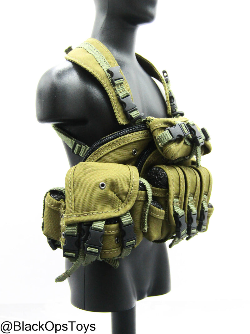 Load image into Gallery viewer, NSW Op. Ramadi 2006 - Tan Chest Rig
