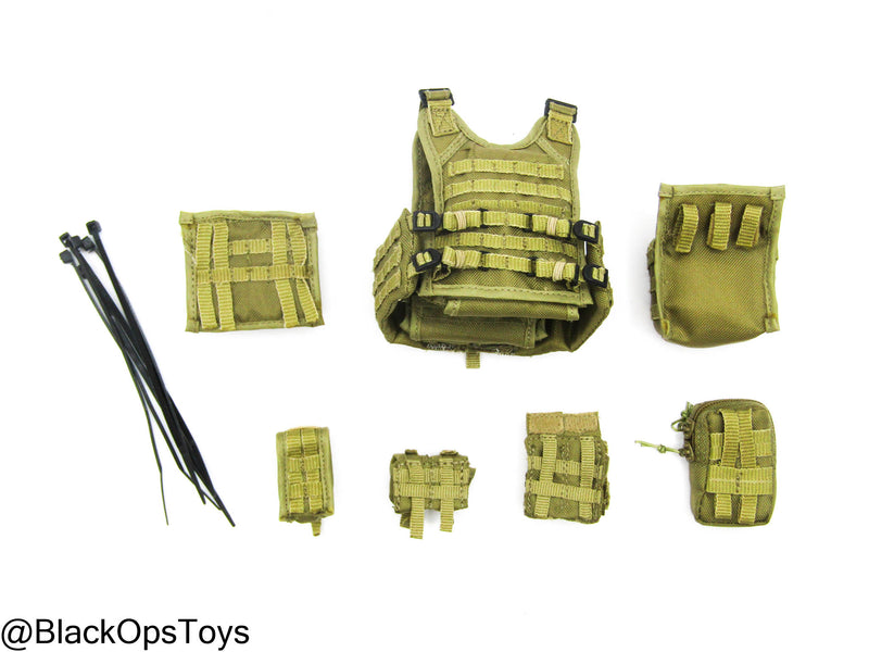 Load image into Gallery viewer, ODA SF Team Leader - FDE Tan MOLLE Plate Carrier w/Pouch Set
