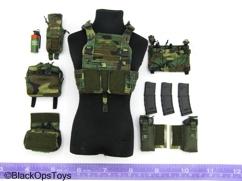 Load image into Gallery viewer, Veteran Tactical Instructor Chapt. 2 - M81 Woodland 6094 MOLLE Plate Carrier w/Pouches
