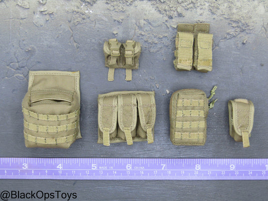 ODA SF Team Leader - FDE Tan MOLLE Pouch Set
