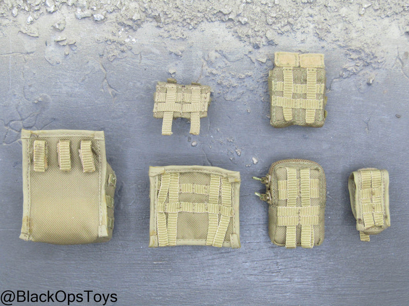 Load image into Gallery viewer, ODA SF Team Leader - FDE Tan MOLLE Pouch Set
