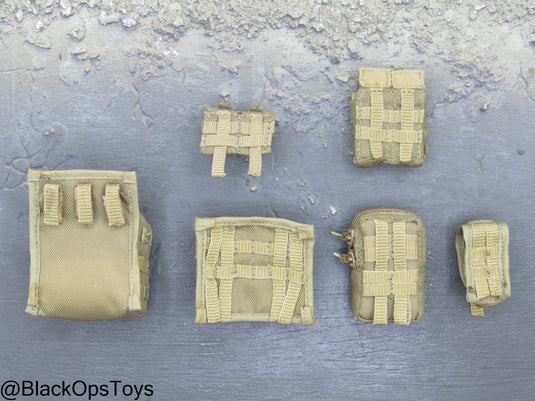 ODA SF Team Leader - FDE Tan MOLLE Pouch Set
