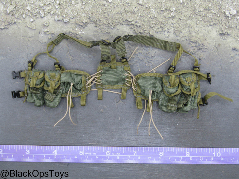 Load image into Gallery viewer, OD Green Harness w/Pouch Set
