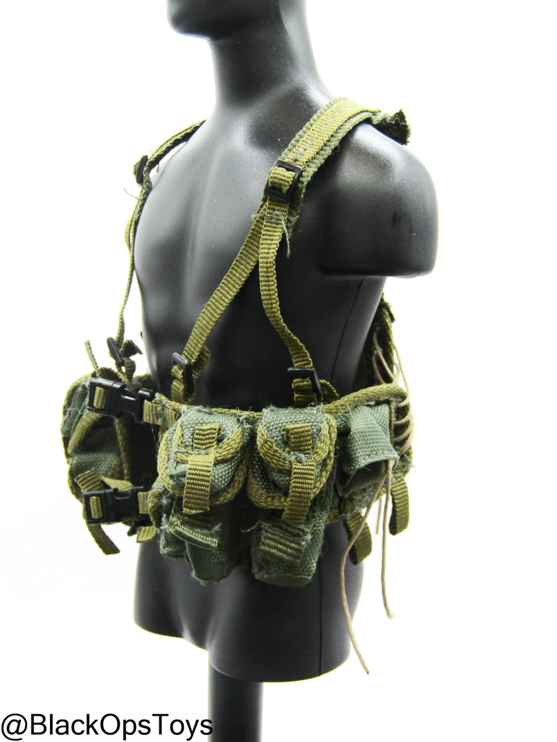 Load image into Gallery viewer, OD Green Harness w/Pouch Set
