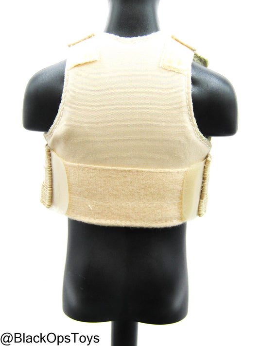FDE Tan Body Armor