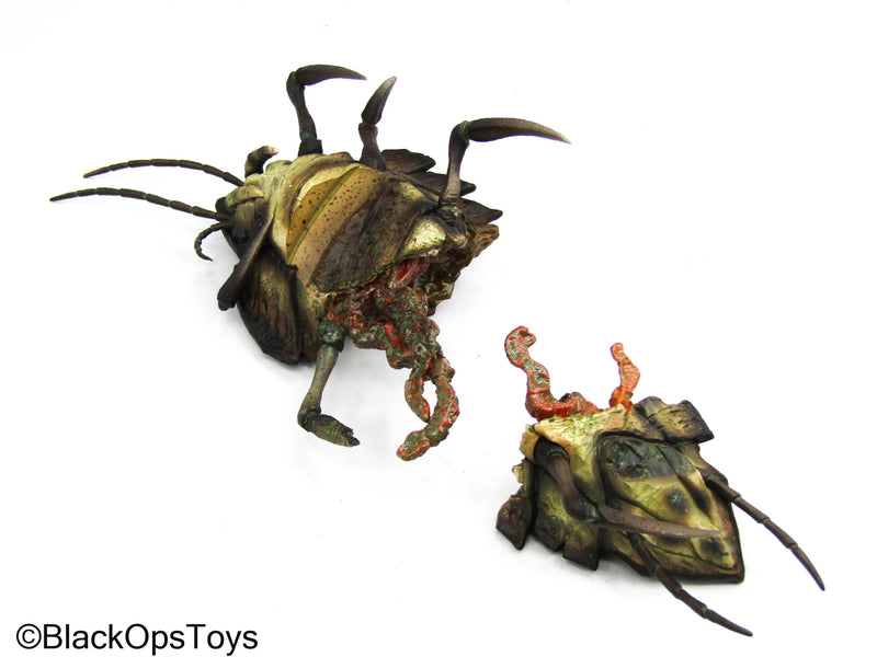 Load image into Gallery viewer, Starship Force Lieutenant - Alien Bug (Cut In Half)

