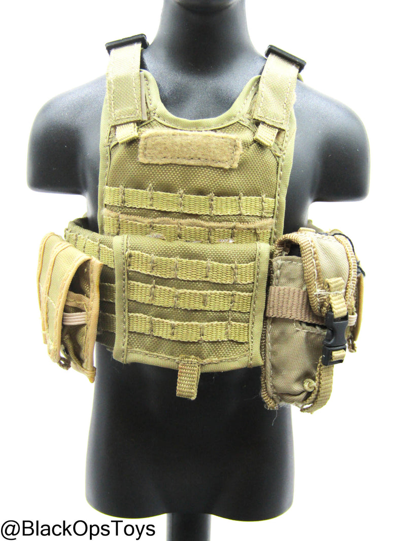 Load image into Gallery viewer, FDE Tan MOLLE Plate Carrier w/Pouch Set
