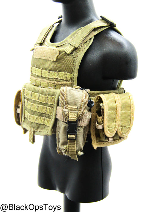 FDE Tan MOLLE Plate Carrier w/Pouch Set