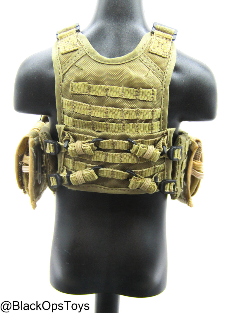 Load image into Gallery viewer, FDE Tan MOLLE Plate Carrier w/Pouch Set
