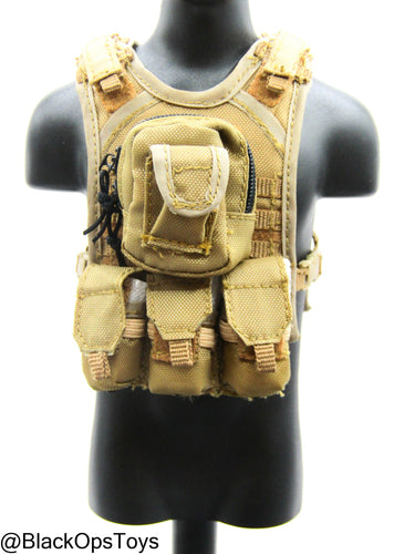 Coyote Tan MOLLE Plate Carrier w/Pouch Set