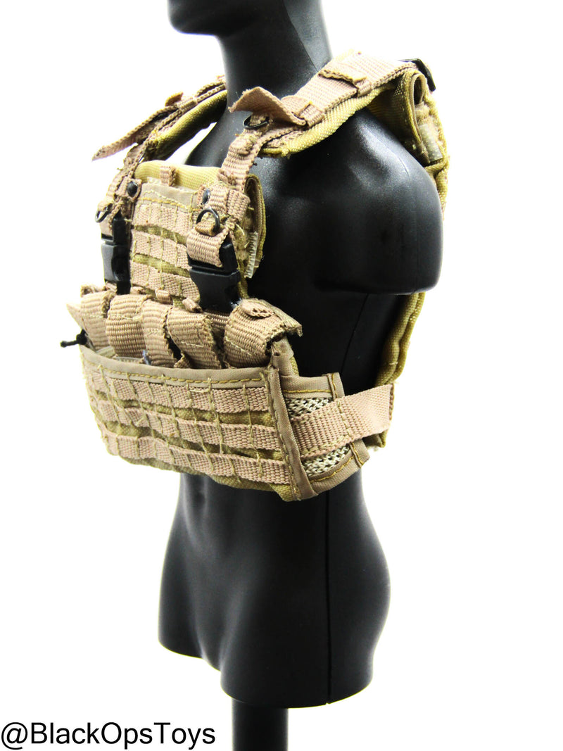 Load image into Gallery viewer, FDE Tan MOLLE Plate Carrier
