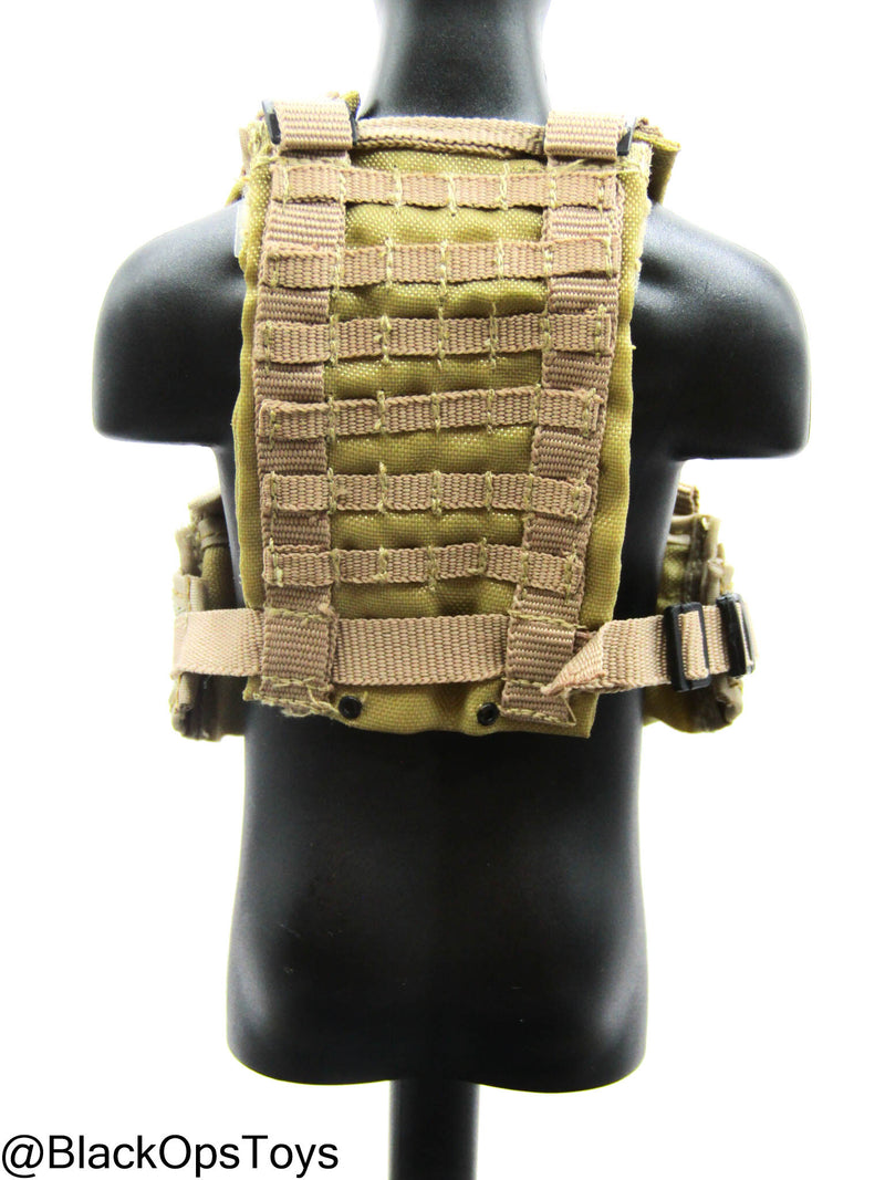 Load image into Gallery viewer, FDE Tan MOLLE Plate Carrier
