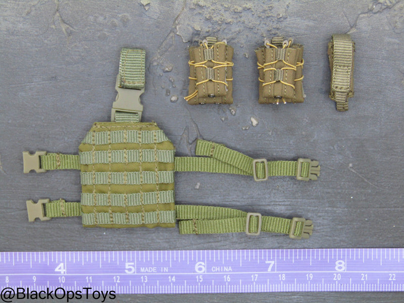 Load image into Gallery viewer, FSB Alpha Team Leader R - Drop Leg MOLLE Platform w/Mag Pouches
