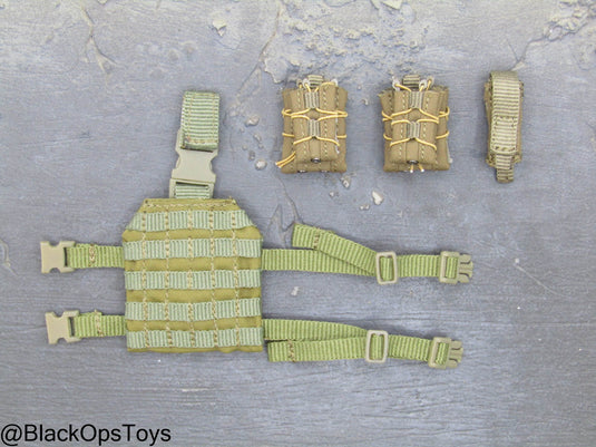 FSB Alpha Team Leader R - Drop Leg MOLLE Platform w/Mag Pouches