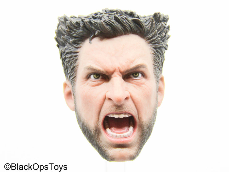 Load image into Gallery viewer, Wolverine - Male Headsculpt
