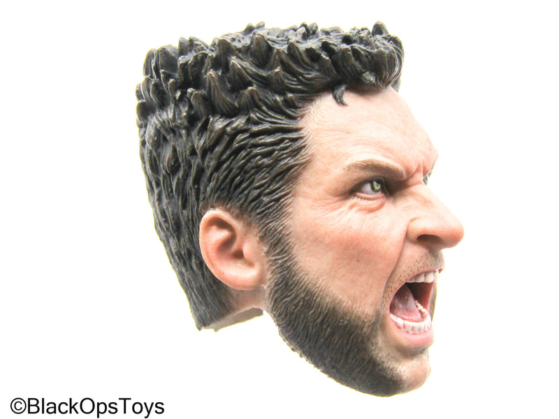 Load image into Gallery viewer, Wolverine - Male Headsculpt
