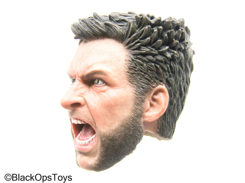 Load image into Gallery viewer, Wolverine - Male Headsculpt
