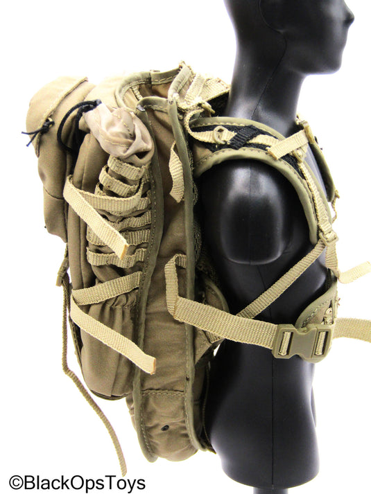 101st Airborne Div. - Tan MOLLE Eberlestock Backpack