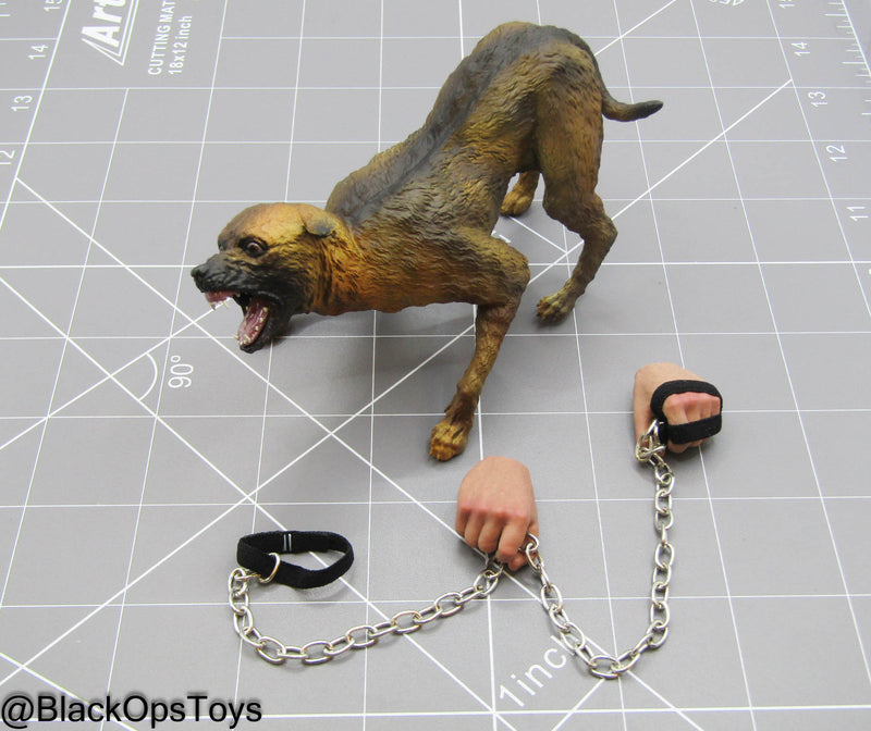 Load image into Gallery viewer, Downtown Union - Smuggler - Aggressive Dog w/Chain &amp; Hand Set
