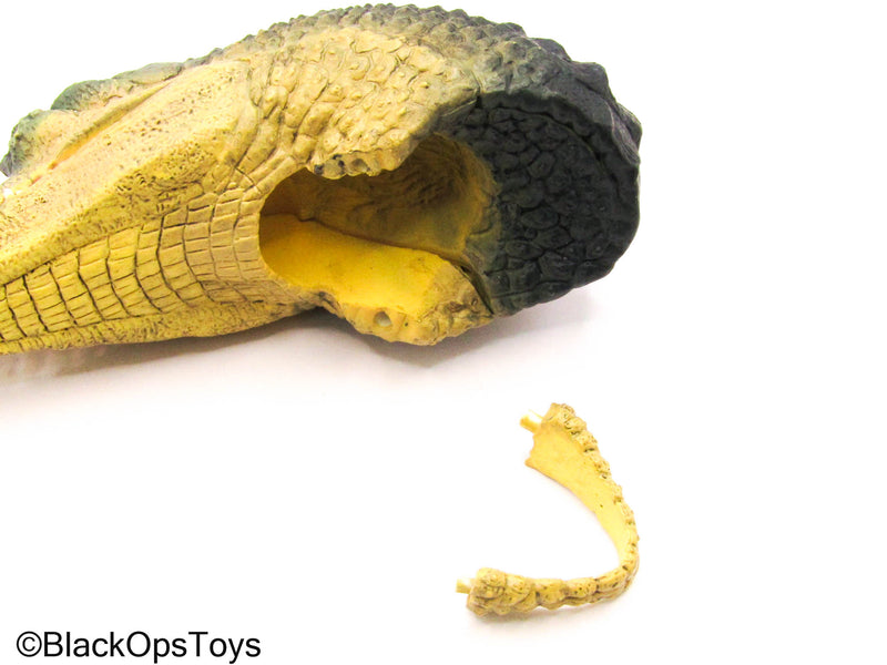 Load image into Gallery viewer, Alligator Helmet
