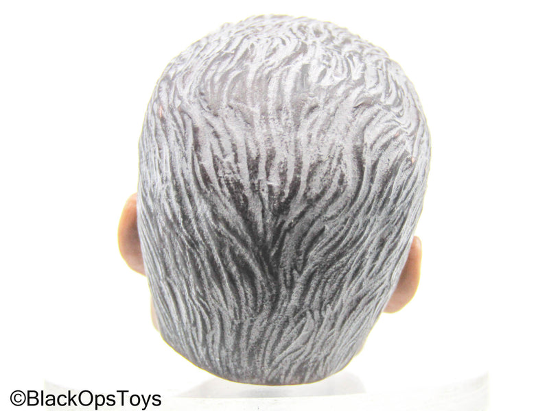 Load image into Gallery viewer, GI JOE - General Hawk - Male Head Sculpt
