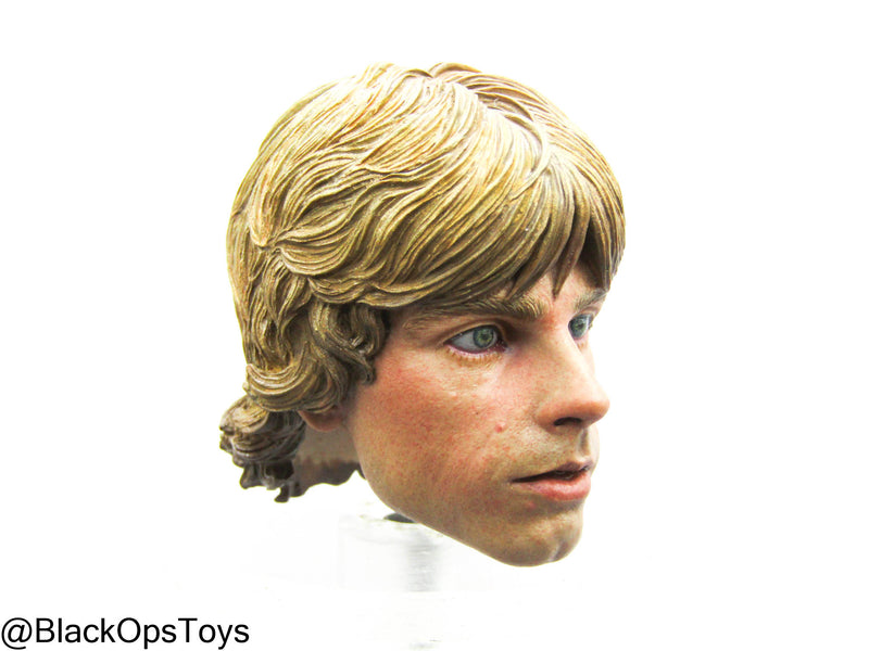 Load image into Gallery viewer, JNIXART Star Wars - Custom Luke Skywalker Headsculpt
