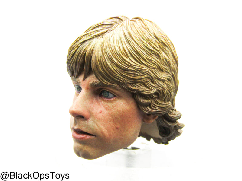 Load image into Gallery viewer, JNIXART Star Wars - Custom Luke Skywalker Headsculpt
